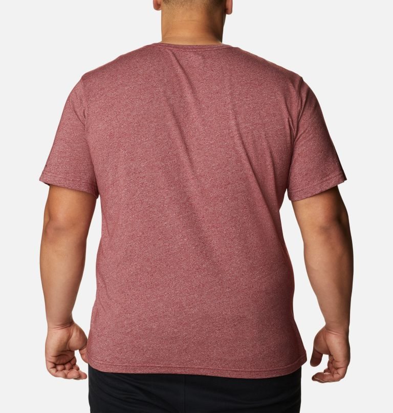 Men's Columbia Thistletown Hills Short Sleeve T Shirts Red | Plus Size CA-YL56C